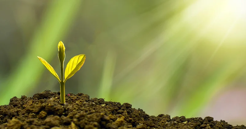 Expansion et diversification : quand les envisager vraiment
